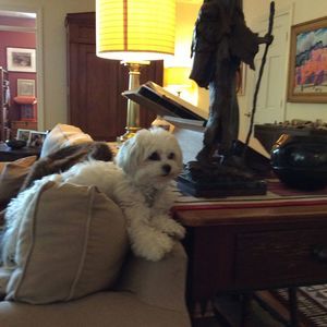 Meet your Posher, Barbara